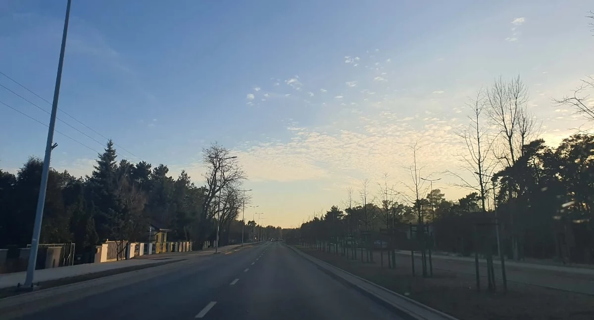 Urząd Miasta, nowych drzew Włocławku Miasto zazielenia ulice parki wiosnę - zdjęcie, fotografia