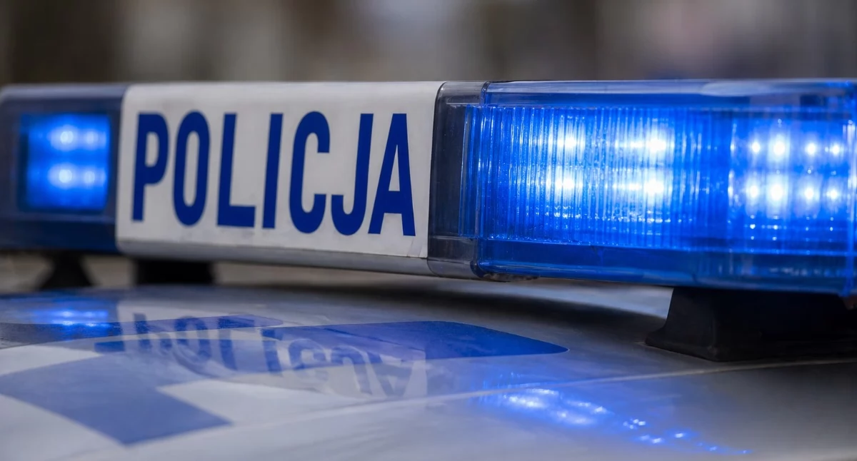 Policja - komunikaty policyjne, latek ukradł poszukiwany Niemczech - zdjęcie, fotografia