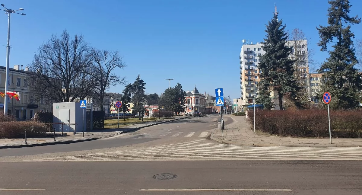 Komunikaty, Włocławek rozpoczyna walkę szczurami Znamy termin lokalizację - zdjęcie, fotografia
