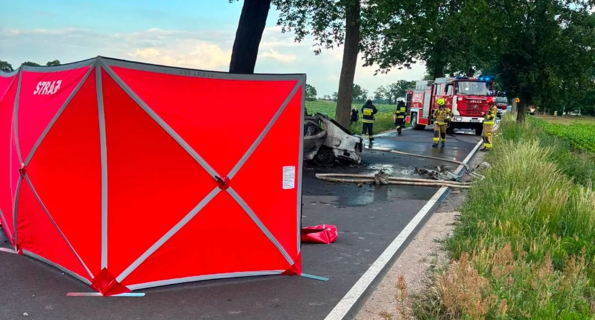 Wypadki drogowe, Tragiczny wypadek regionie uderzyło drzewo stanęło ogniu - zdjęcie, fotografia