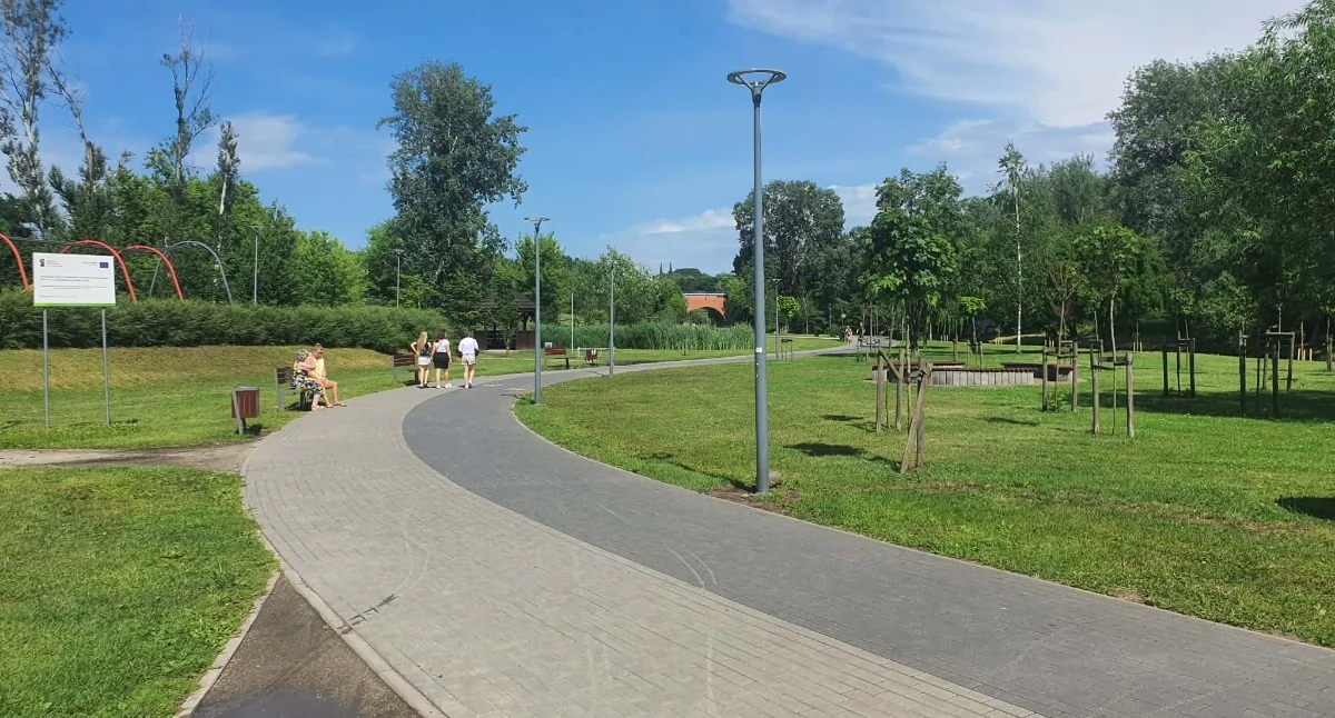 Ludzie_, Parkowe alejki Włocławku lupą Radny miasto problem kontrolą - zdjęcie, fotografia