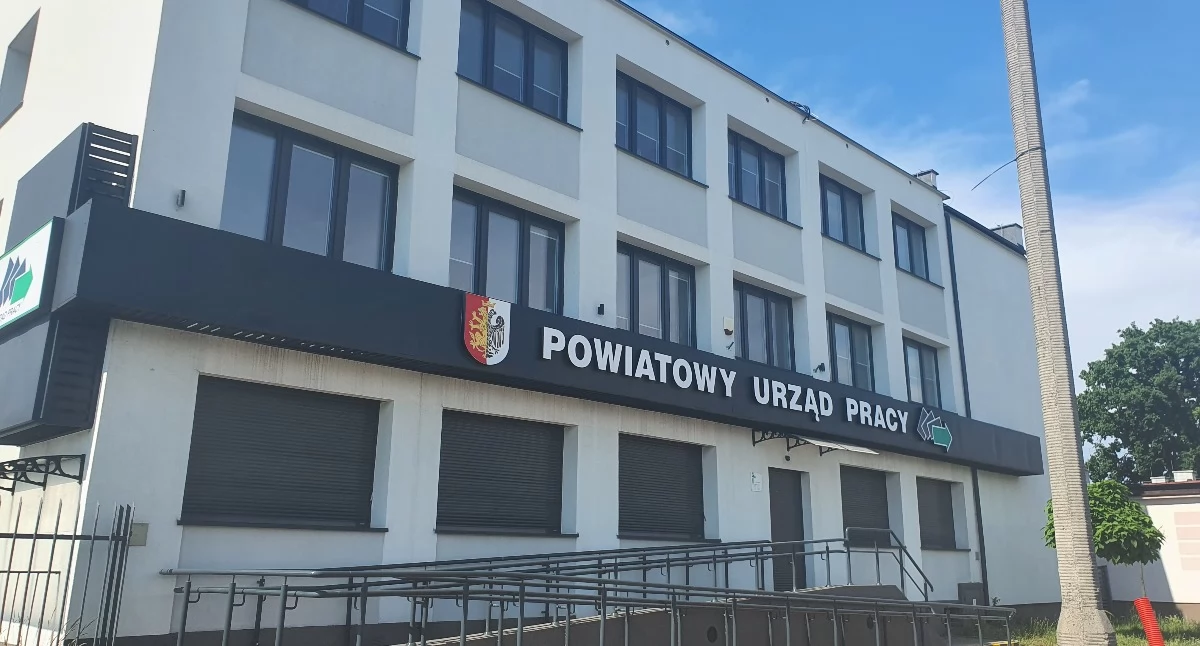 Rynek pracy, Praca Włocławek oferty zatrudnienia - zdjęcie, fotografia