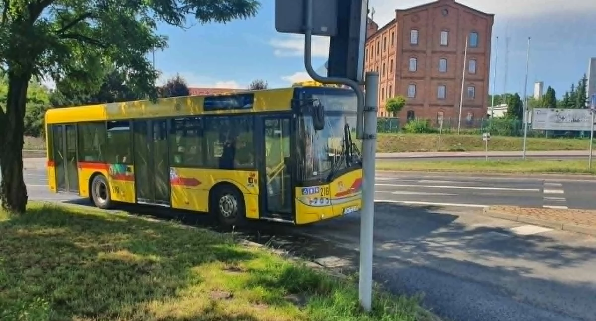Rynek pracy, Praca Włocławek Włocławek szuka osoby planowania - zdjęcie, fotografia