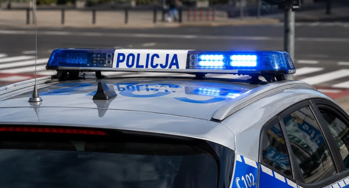 Policja - komunikaty policyjne, Potrącenie pieszej Włocławku Policja apeluje świadków pomoc - zdjęcie, fotografia