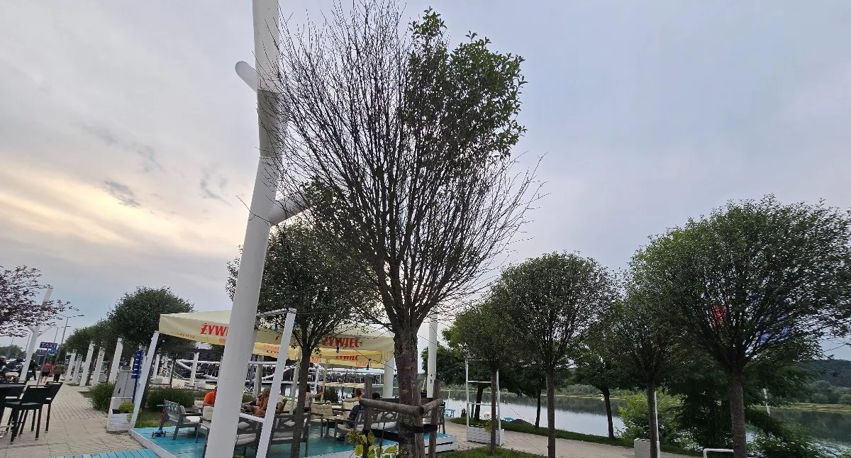 Ludzie_, dzieje zielenią Piwnej Włocławku - zdjęcie, fotografia