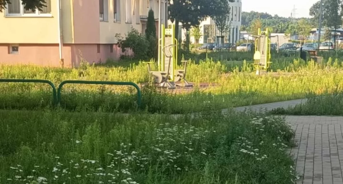 Ludzie_, Zarośnięte chodniki zabaw wygląda okolica Dziewińskiej - zdjęcie, fotografia