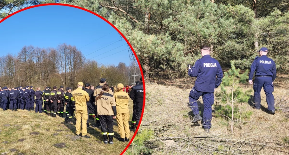 Policja - komunikaty policyjne, Grzybiarze znaleźli ludzkie szczątki lesie Wyniki przyniosły odpowiedź - zdjęcie, fotografia