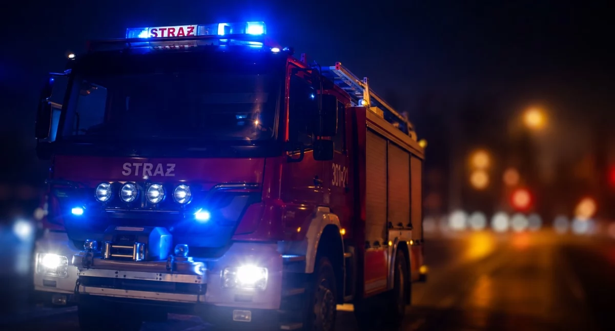Fot. AI, Zdjęcie ilustracyjne