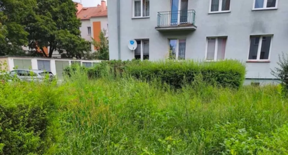 Ludzie_, Trawa miała prawie metry Mieszkaniec poprosił pomoc reakcja - zdjęcie, fotografia