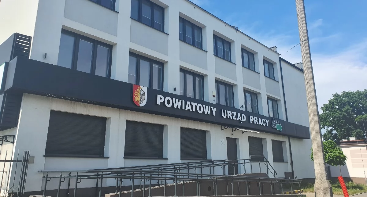 Rynek pracy, Dotacje własną firmę Włocławku otwiera nabór tylko - zdjęcie, fotografia
