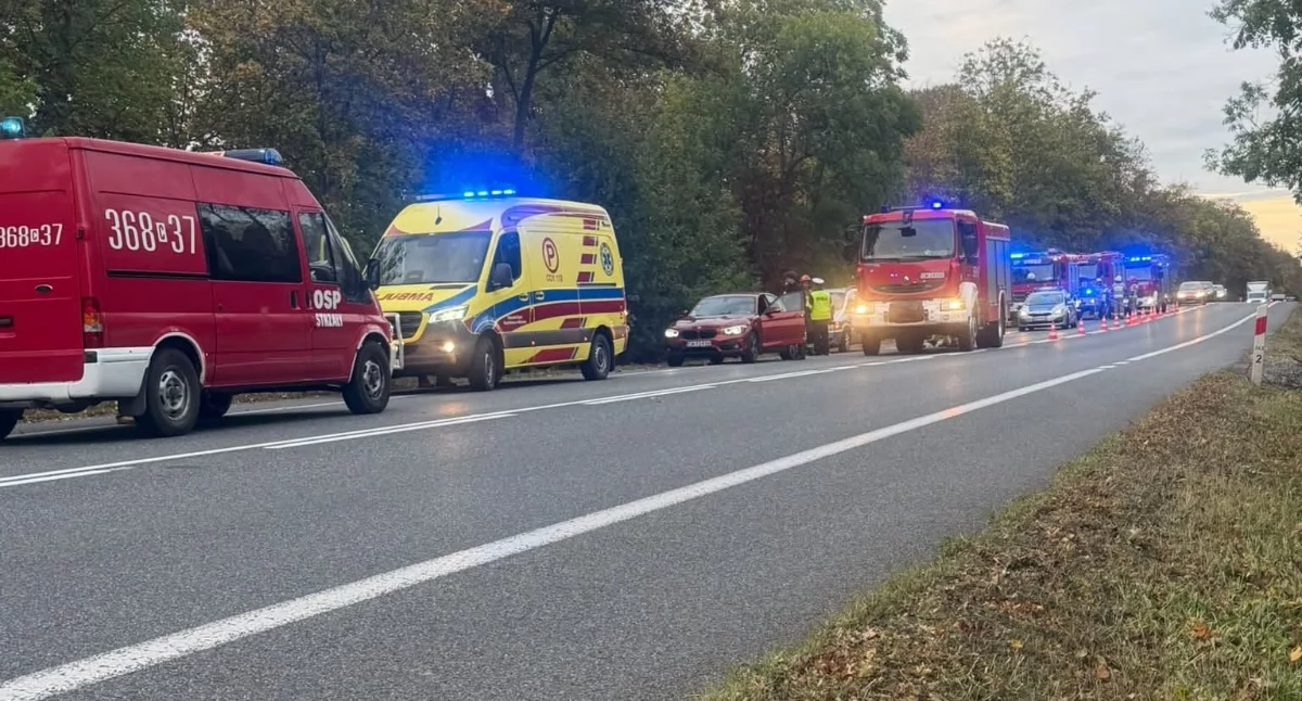 Fot. OSP Strzały