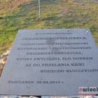 zdjęcie nr 37