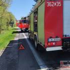 Fotka nr 1 z 2