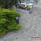 zdjęcie nr 32