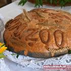 zdjęcie nr 106