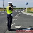 Fotka nr 2 z 3
