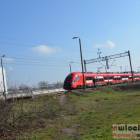 Fotka nr 1 z 15