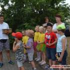 zdjęcie nr 15