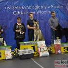 zdjęcie nr 148