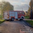 Fotka nr 5 z 10