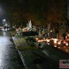 zdjęcie nr 17