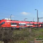 Fotka nr 2 z 15