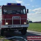 Fotka nr 2 z 5