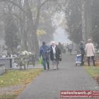 zdjęcie nr 29