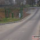 Fotka nr 2 z 11
