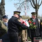 zdjęcie nr 24