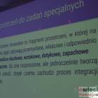 zdjęcie nr 46