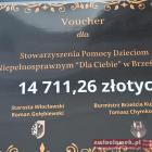 Fotka nr 1 z 17