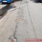 zdjęcie nr 8