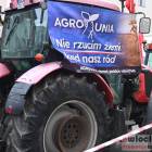 zdjęcie nr 29