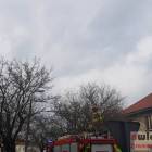 Fotka nr 2 z 6