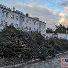 zdjęcie nr 13