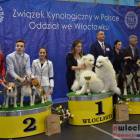 zdjęcie nr 152
