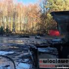 Fotka nr 5 z 16