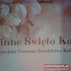 zdjęcie nr 47