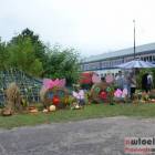 zdjęcie nr 40
