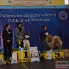 zdjęcie nr 164
