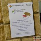 zdjęcie nr 16