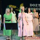 zdjęcie nr 246