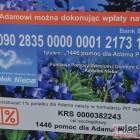 zdjęcie nr 32