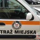 zdjęcie nr 11