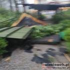 zdjęcie nr 37