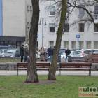 zdjęcie nr 13