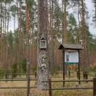 zdjęcie nr 7