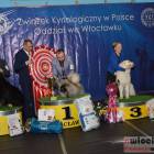 zdjęcie nr 172