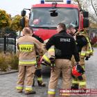Fotka nr 4 z 159
